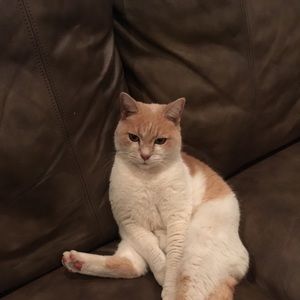 Meet your Posher, April